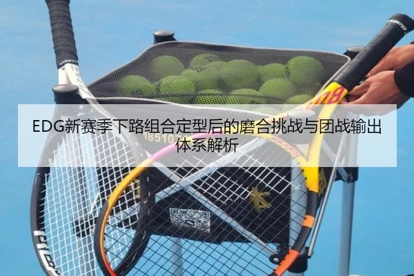 EDG新赛季下路组合定型后的磨合挑战与团战输出体系解析